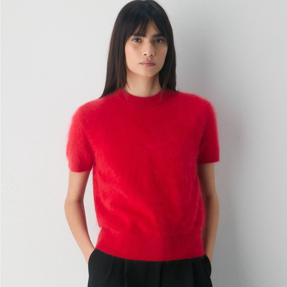 Aritzia Brushed Cashmere Shortsleeve Crew Sweater